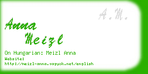 anna meizl business card